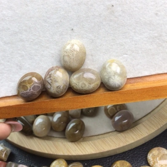 鹿***屿硅化玉未镶嵌颈饰