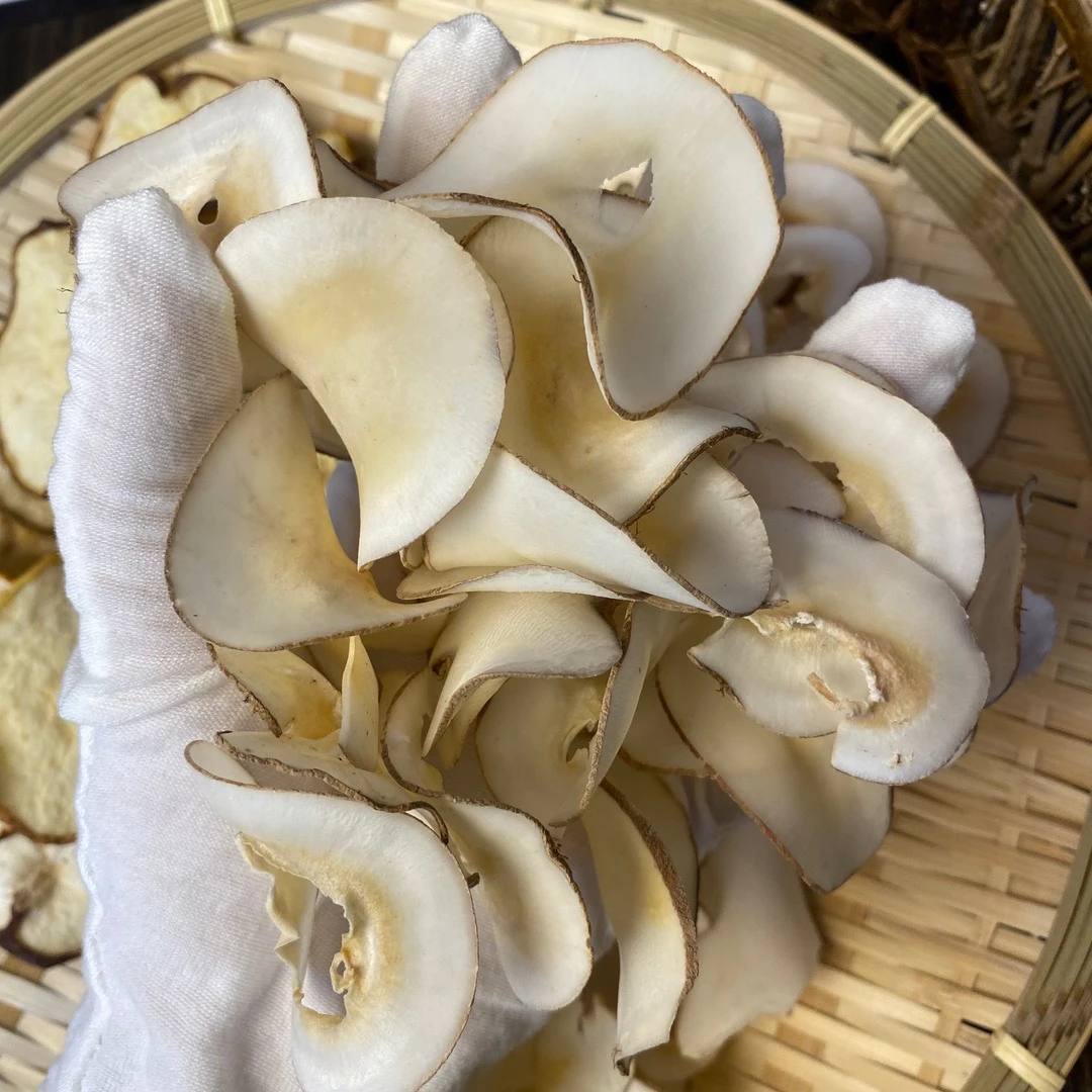 【三包】海底椰 煲汤煮水【文化】