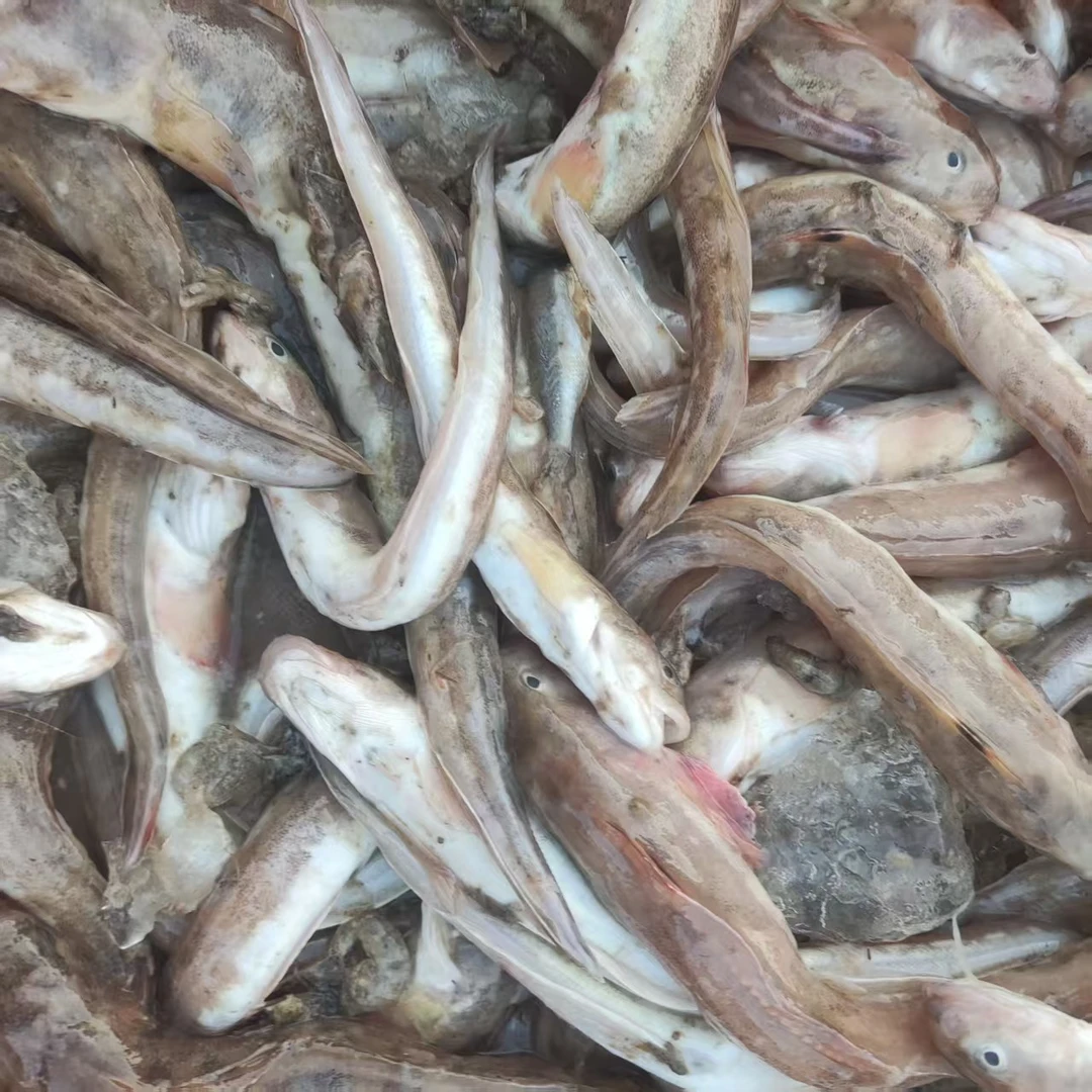 海鱼1份