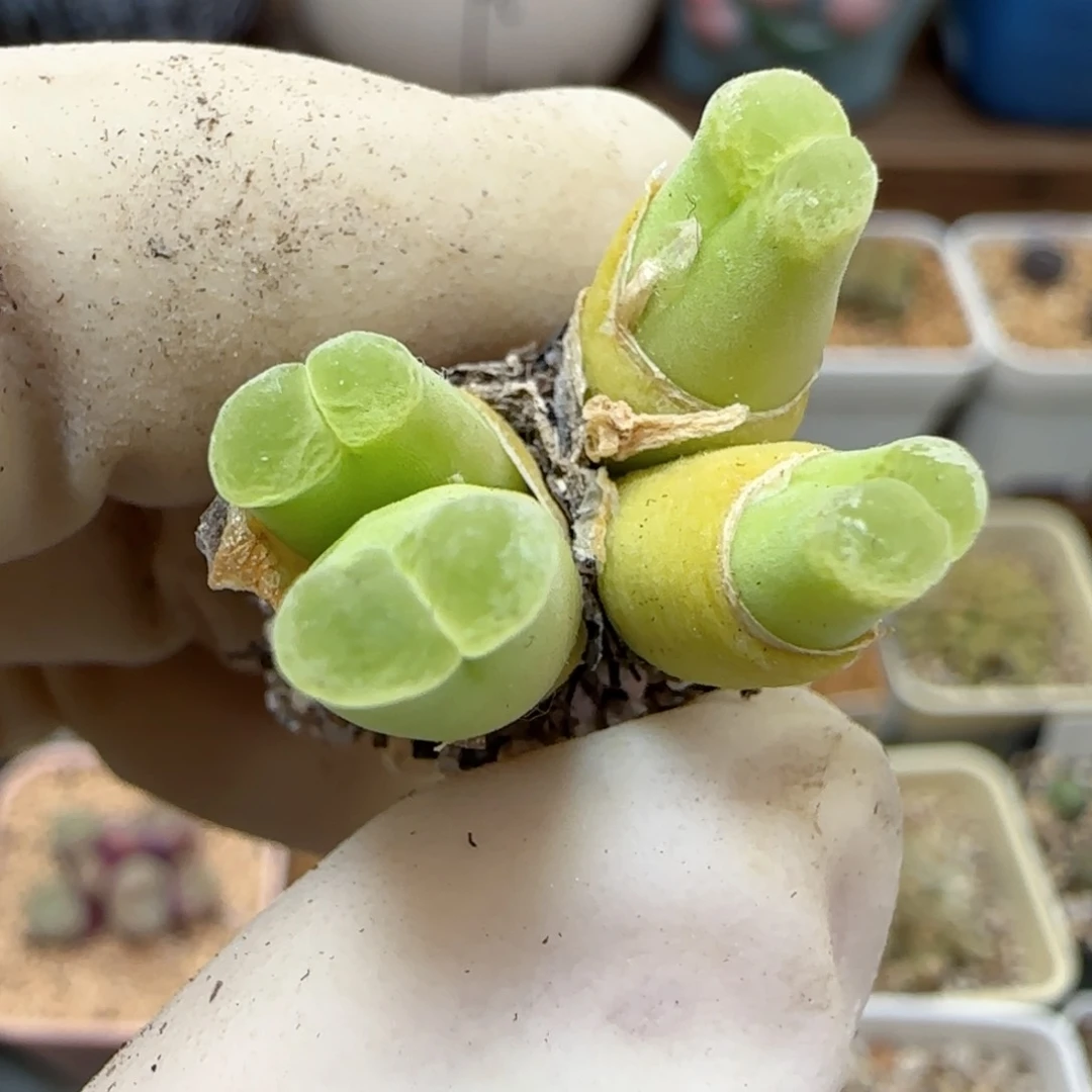 936福利福利福利