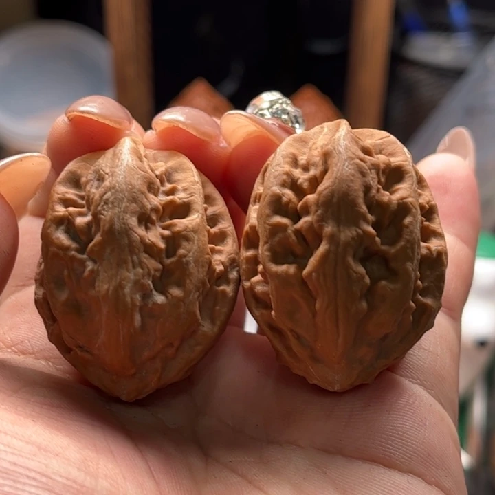 文玩核桃把件楸大胖78