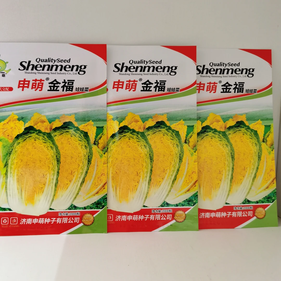 拍一发3 金福娃娃菜种子