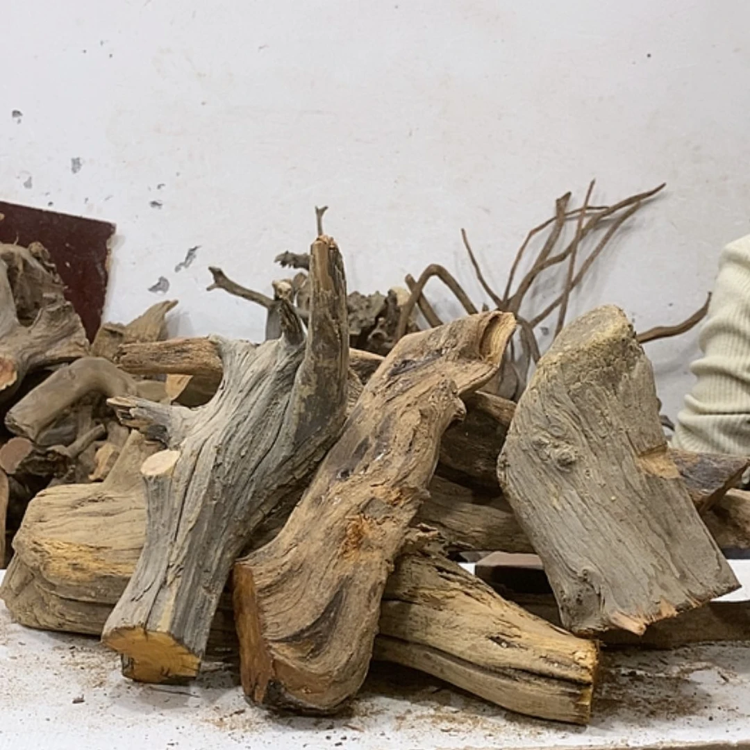 【闪购商品】柏木老*克我们都是好孩子