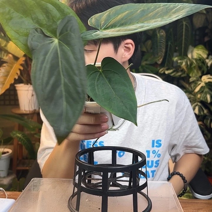 0***1完全开放一物一拍Q140