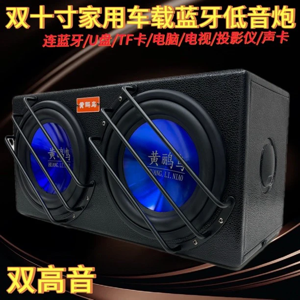 双10寸家用车用12v24v220v超重低音炮蓝牙U盘汽车大功率尾箱炮