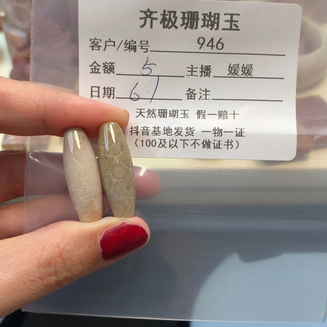 硅化珊瑚（珊瑚玉）未镶嵌颈饰爱****?