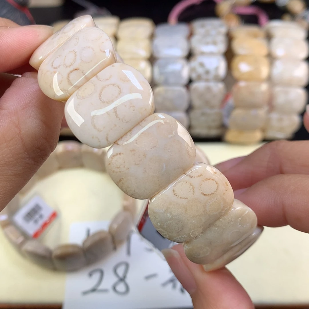 【闪购商品】颈饰未镶嵌硅化珊瑚（珊瑚玉）72号福利