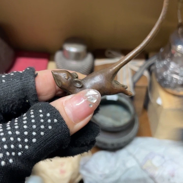 紫砂向阳而生春暖花开用****3