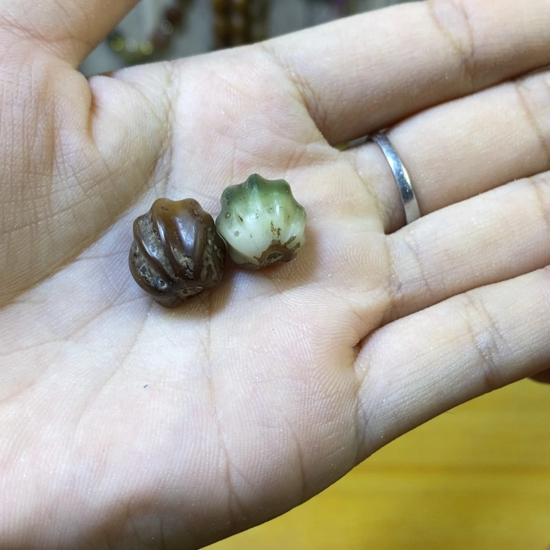 龙脊菩提，顶珠绿，黑