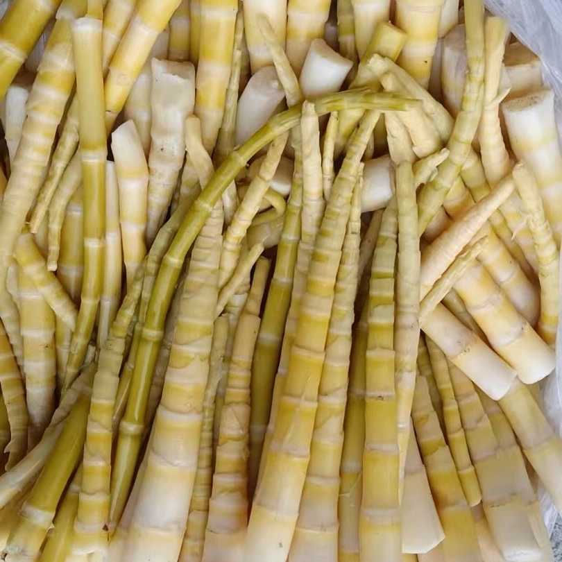 云南镇雄碗厂竹笋新鲜笋尖清水笋火锅方竹笋野生竹笋麻辣烫