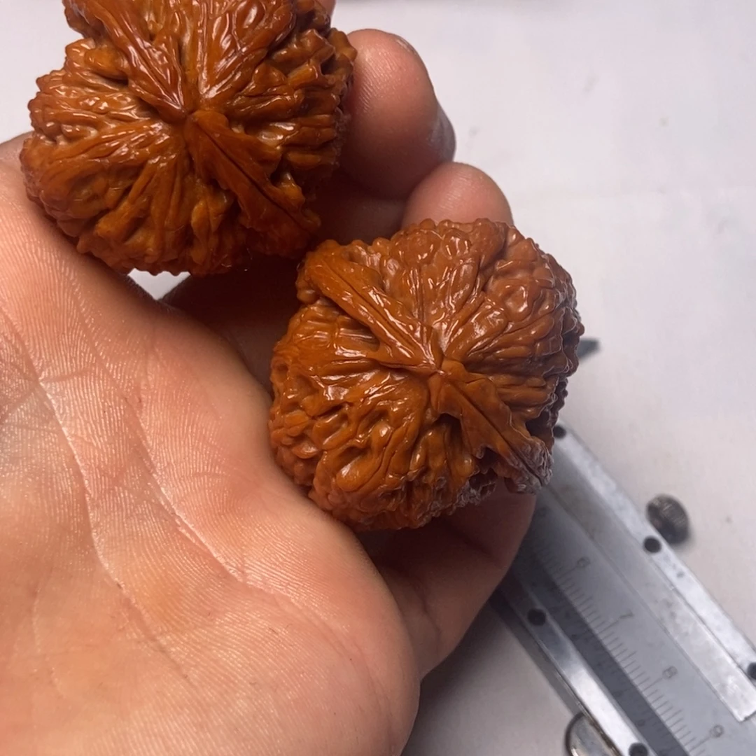大叶紫檀（黑酸枝木类）