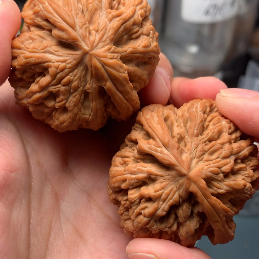 【闪购商品】桃核吊坠叶粗筋49-14417-3