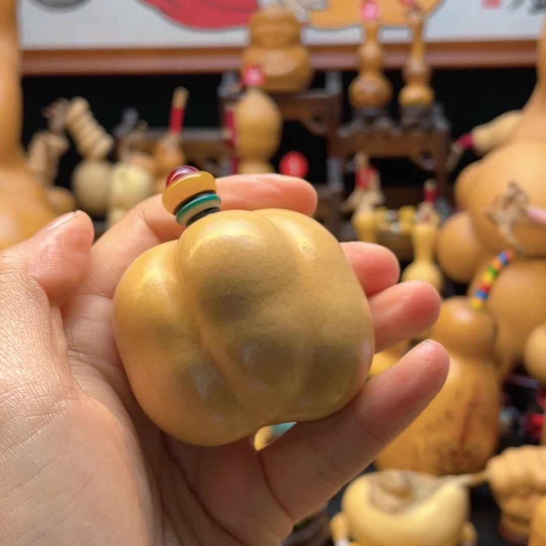 晨*大自然的秘密第十一节的