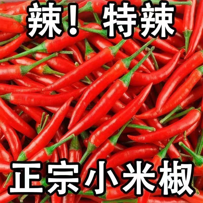 【店铺热卖】小米辣朝天椒特辣现摘现发小米辣辣椒批发
