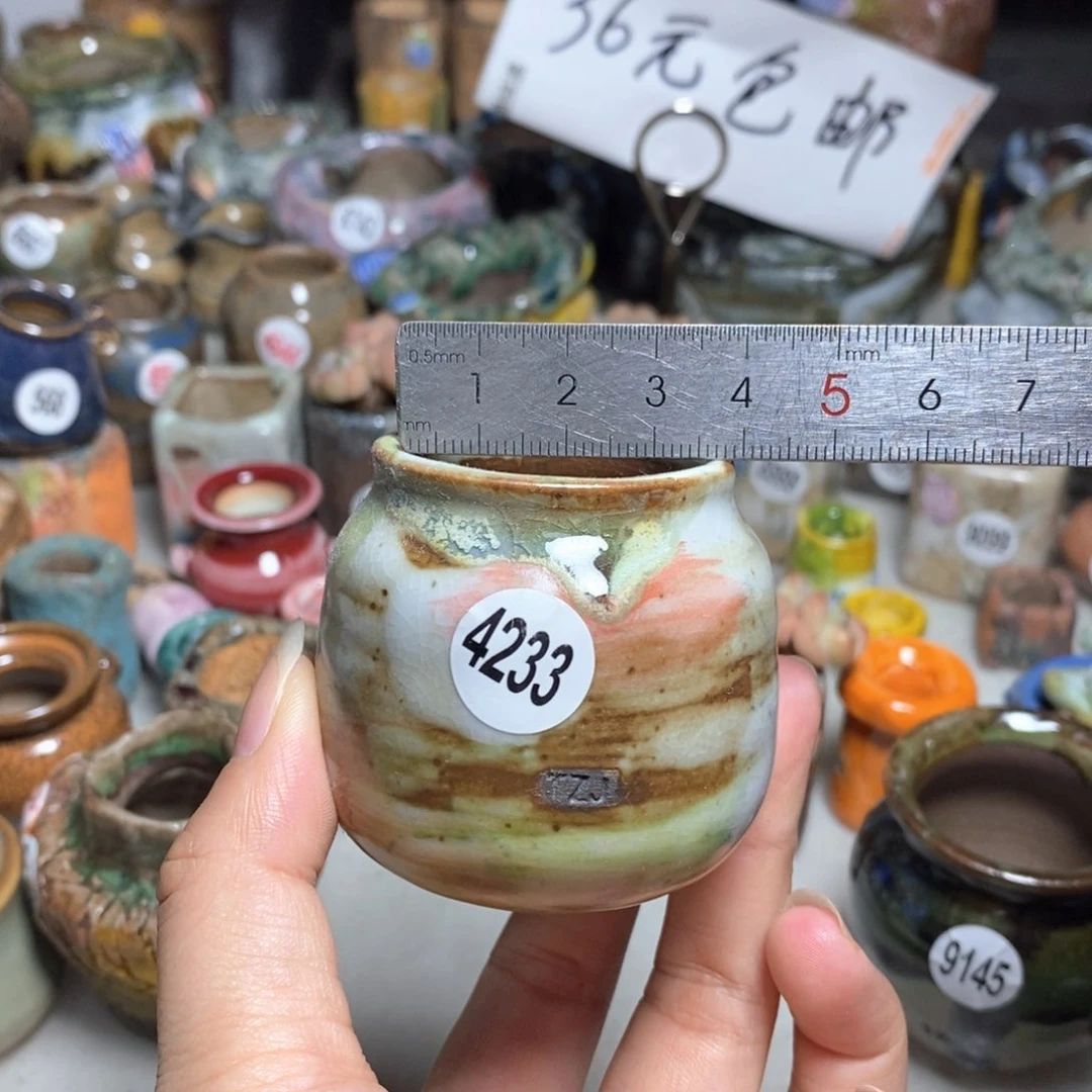 拍5送一个小礼物