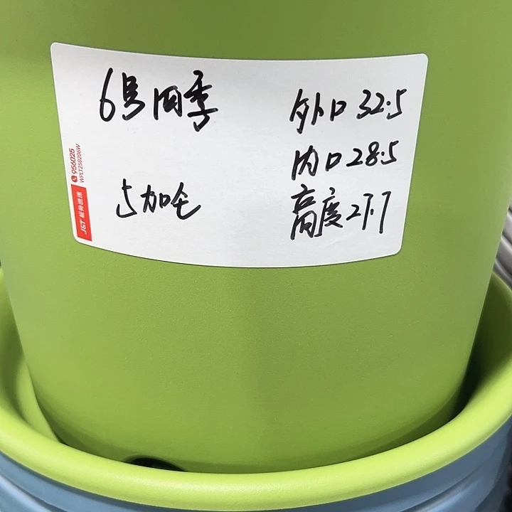 特价6号口32.5高27白色7只无托