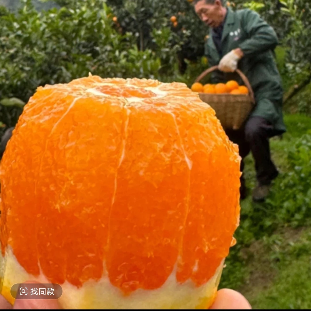 月阳果爆汁香橙 8.5斤/件