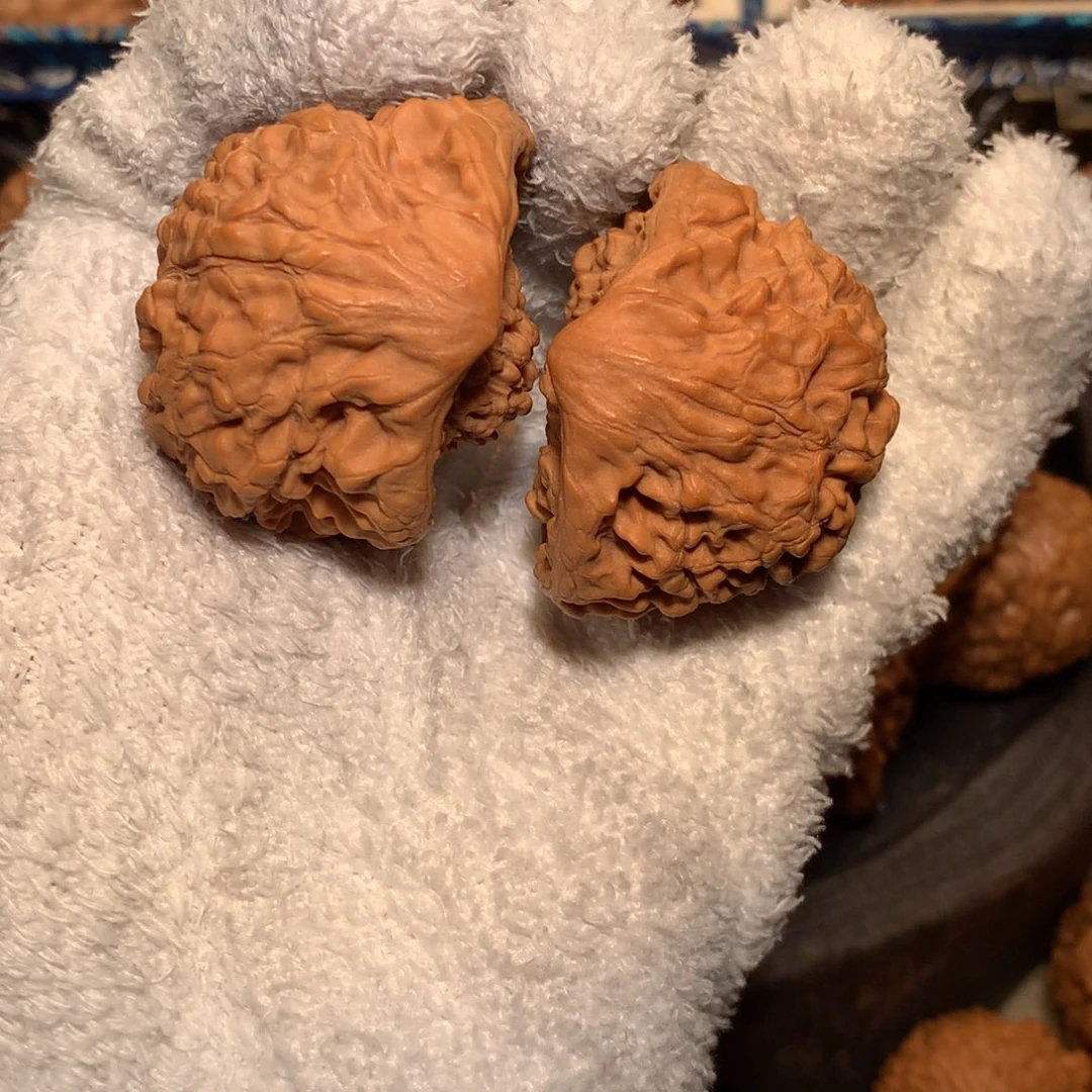 文玩核桃把件38全品 官帽蛇头