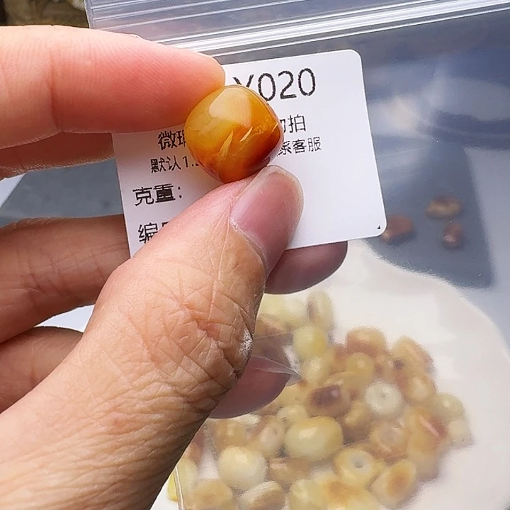 裸石琥珀未镶嵌琥珀