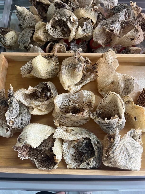 广东省汕尾无刺刺龟皮刺豚皮煲汤煲粥味道鲜美（已拔刺）