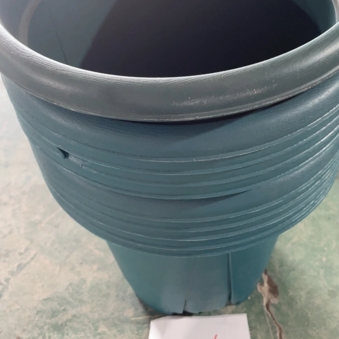 编号是456号的456号的