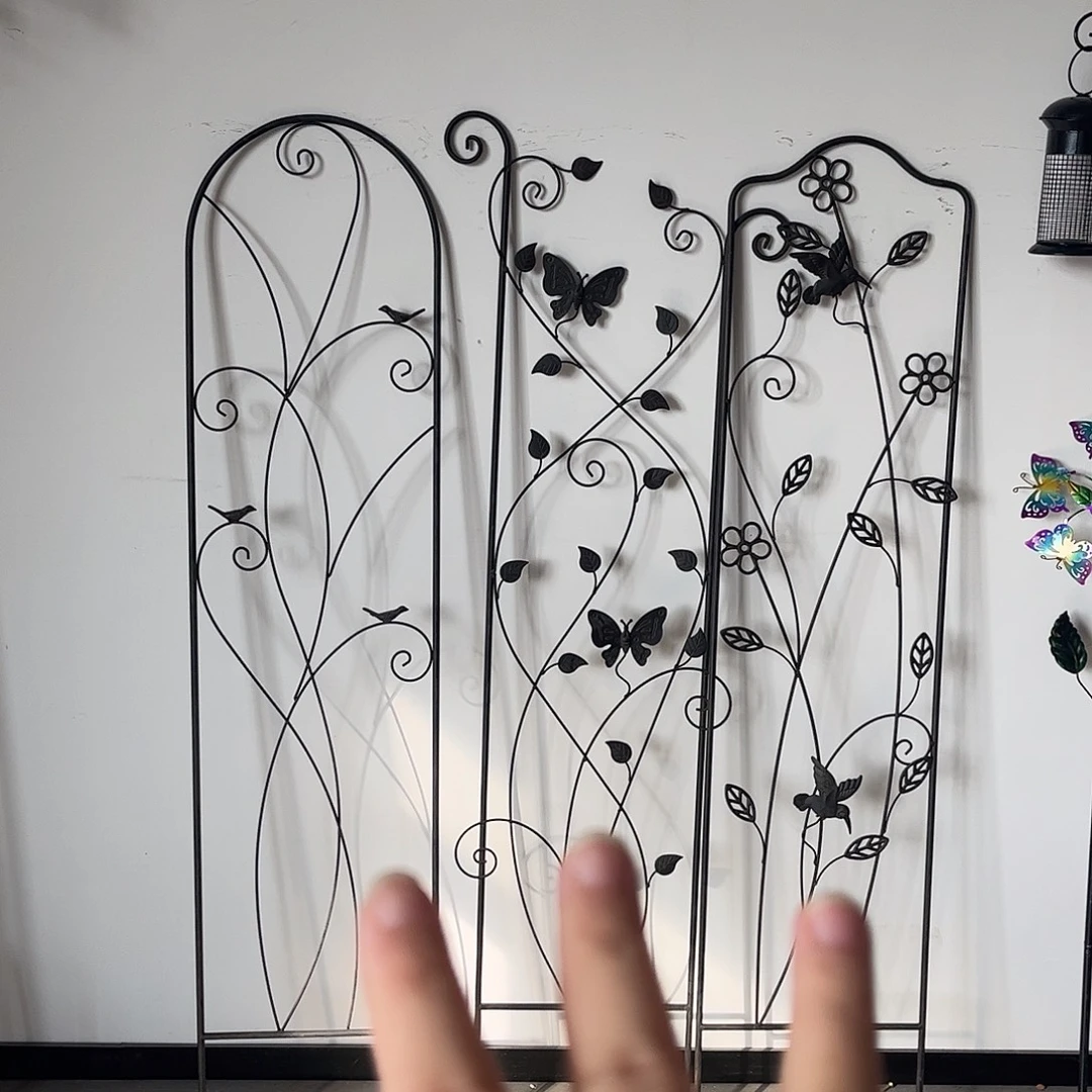 孤品炸炸炸炸炸炸