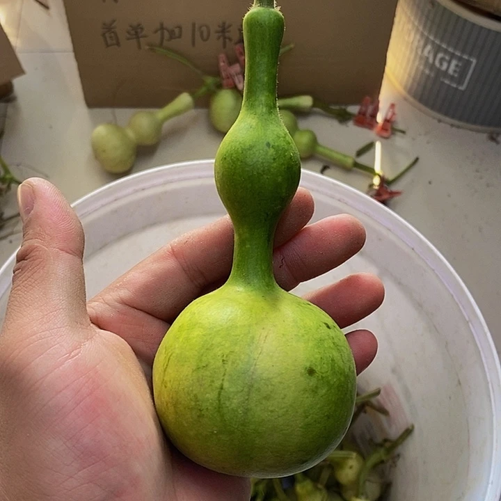9****漂长嘴哈哈哈哈哈哈哈哈哈哈哈哈
