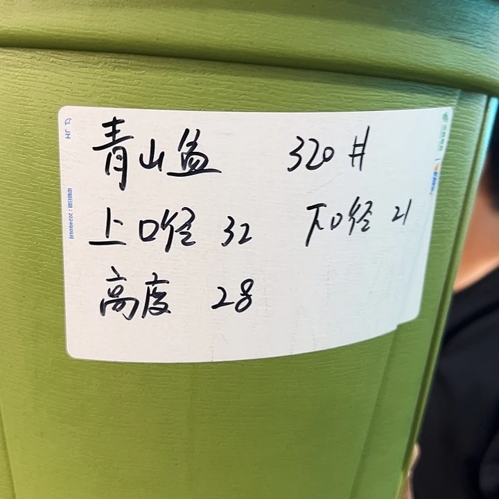 正品青山口32高28灰白色5只无托