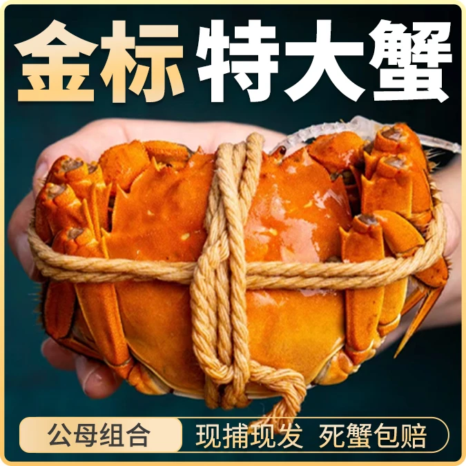 【江苏活蟹】高标精养蟹公4.0-3.7两母3.0-2.7两拍4对送1对到手10只