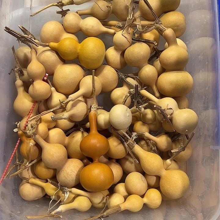 l***迹有机玻璃蚂蚁蚂蚁蚂蚁蚂蚁