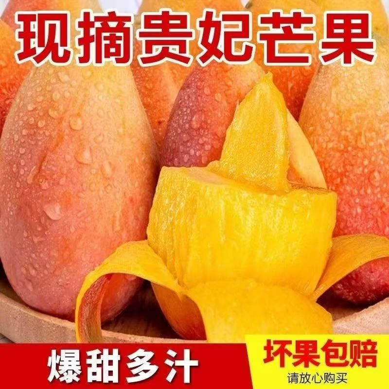 【放软后食用】新鲜采摘海南贵妃芒红金龙芒果 带箱5斤/9.5-10斤装