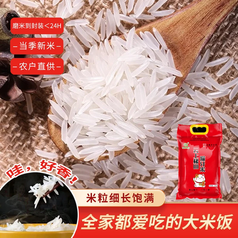 【旌玉屏】25年新米 云上梯田猫牙米2.5kg*1袋/2.5kg*2袋