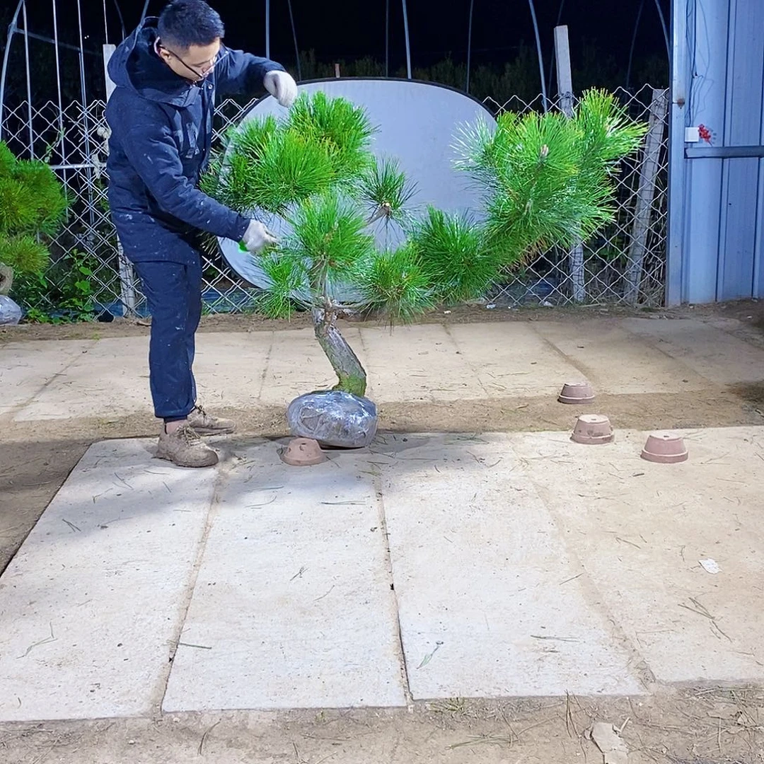 杜***锤完全开放55555555