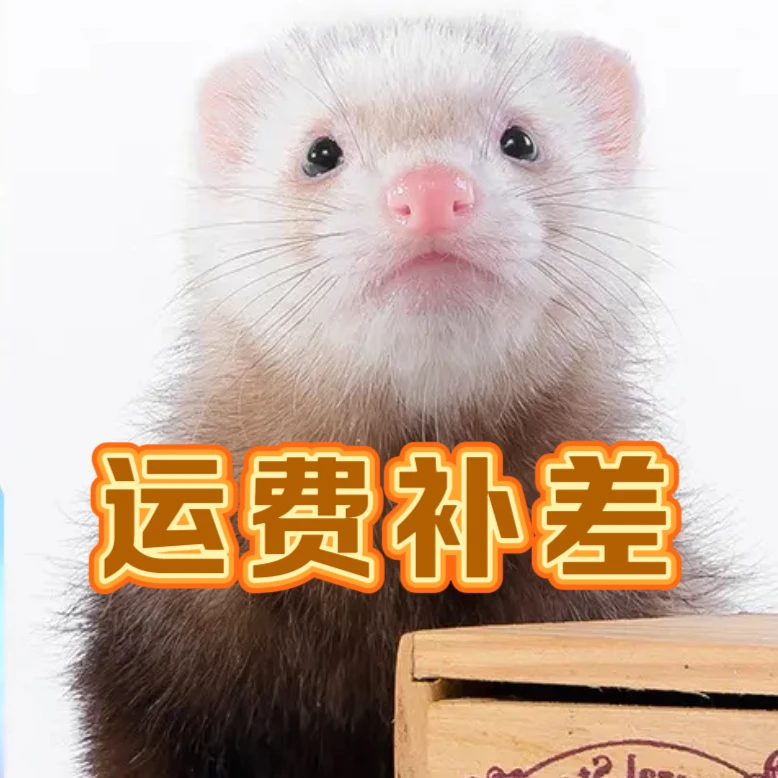 【运费】慎拍，慎拍，慎拍 宠物托运运费补差