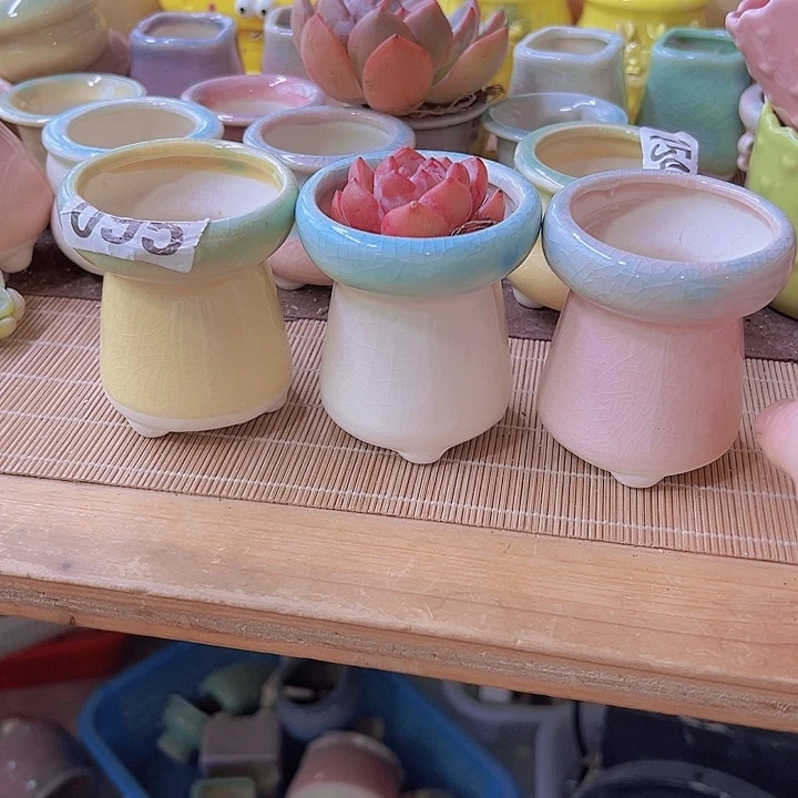 陶瓷花盆当场满12包邮