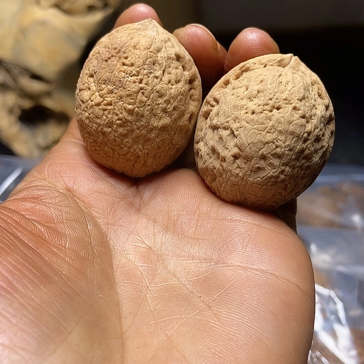把件文玩核桃云南铁核桃基地86