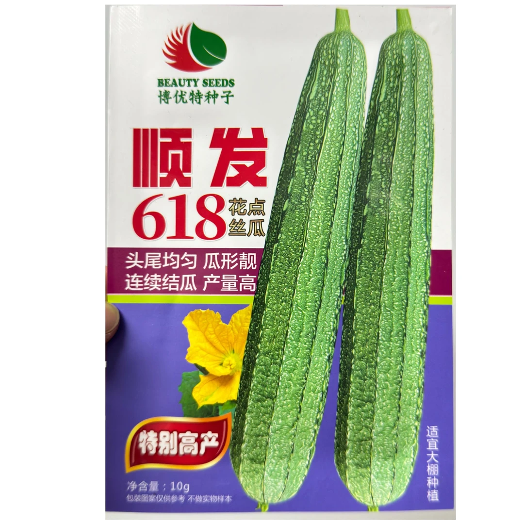 耐寒顺发618大花点丝瓜种子，20几天来瓜，节节有瓜