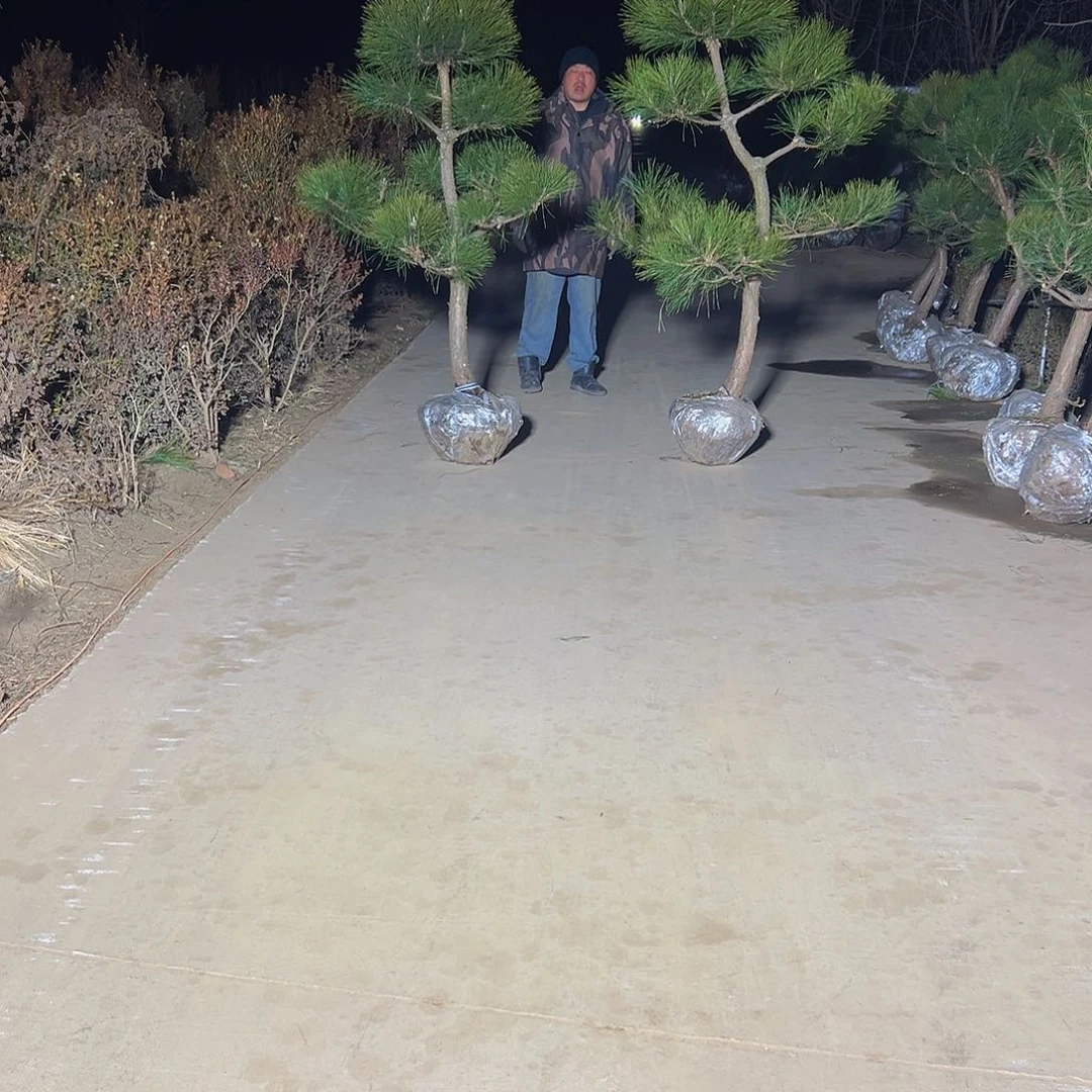 一**悔8888888888888888