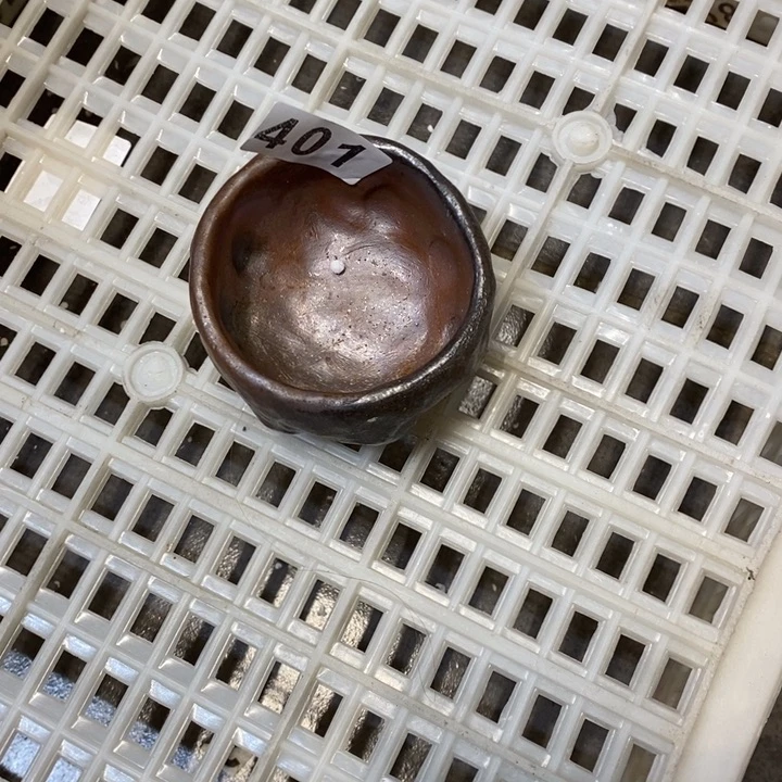 杯柴烧的鼻子家用家姐姐