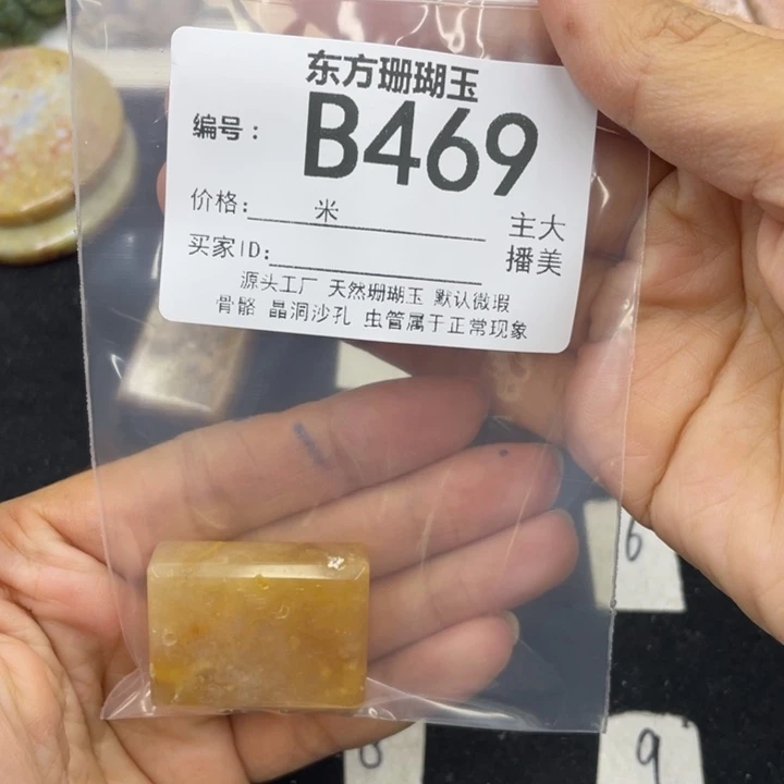 硅化珊瑚（珊瑚玉）颈饰合金?****?