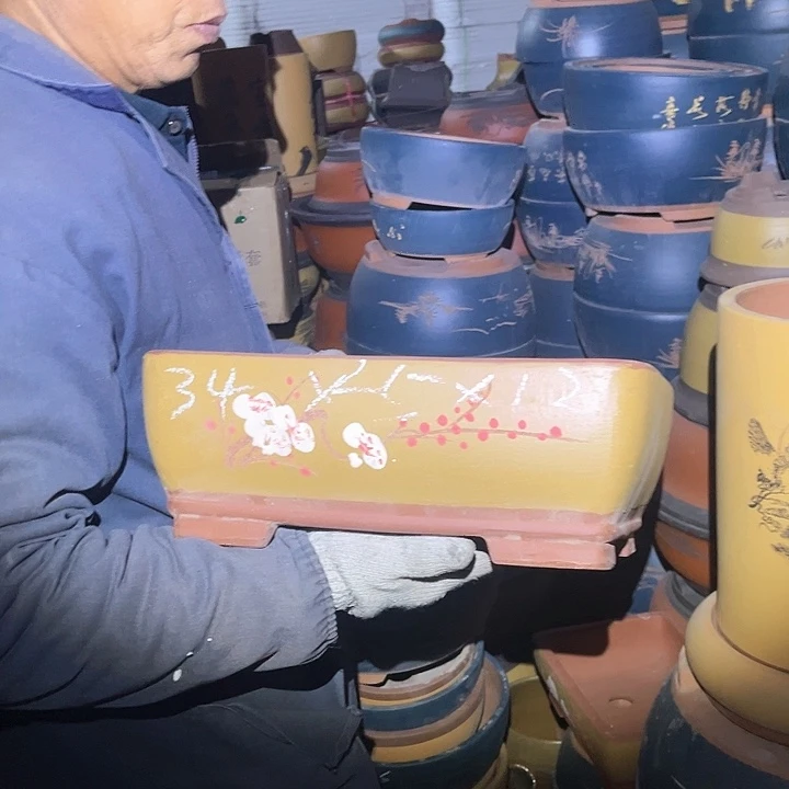 紫砂紫砂花盆和茶树