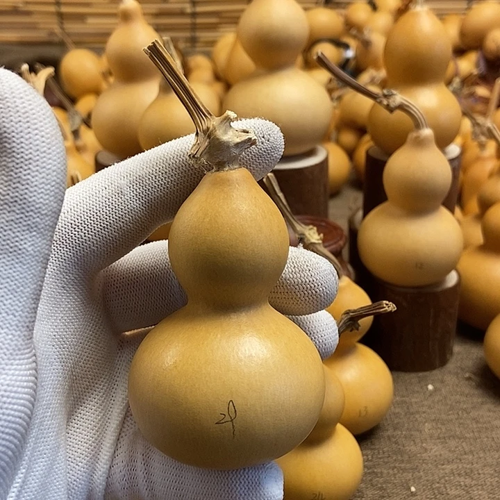 文玩葫芦 完美主义者 慎拍29