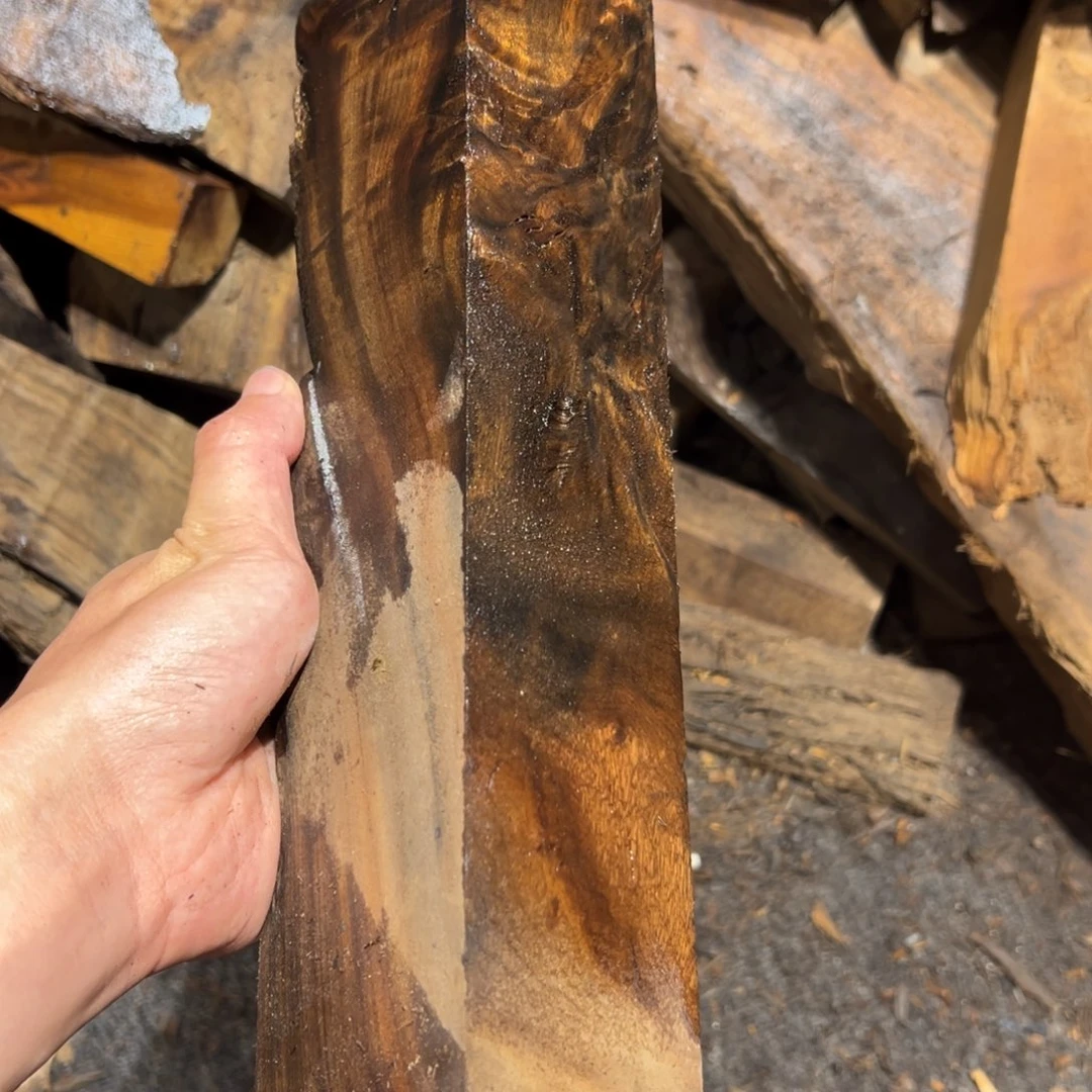 老***”金丝楠金丝楠阴沉木原材料