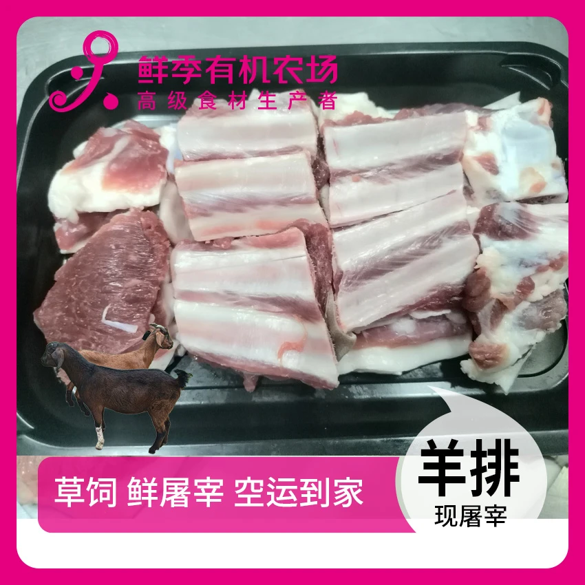 全自产 羊排带羊腩 鲜屠宰/顺丰空运/草饲/山羊/带皮
