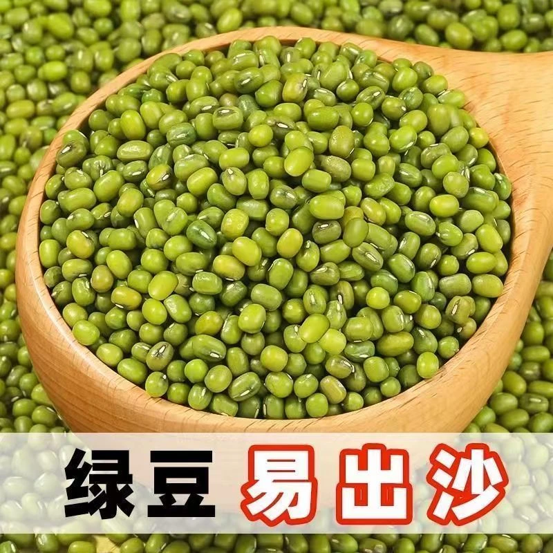 2025新货精选农家自产新鲜绿豆解暑发豆芽绿豆汤散装精品批发