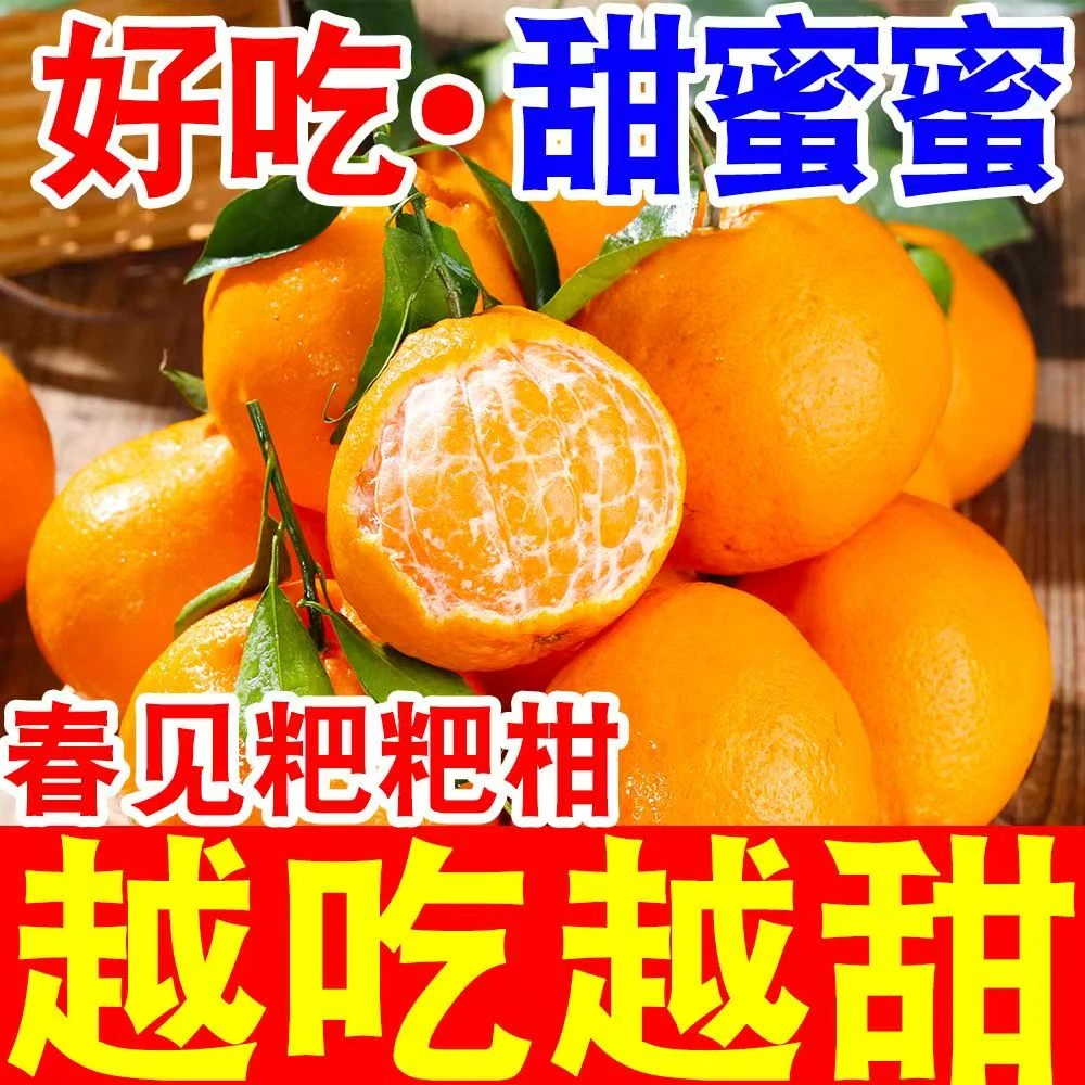 四川春见耙耙柑手剥橘子桔子新鲜现摘应季水果整箱包邮