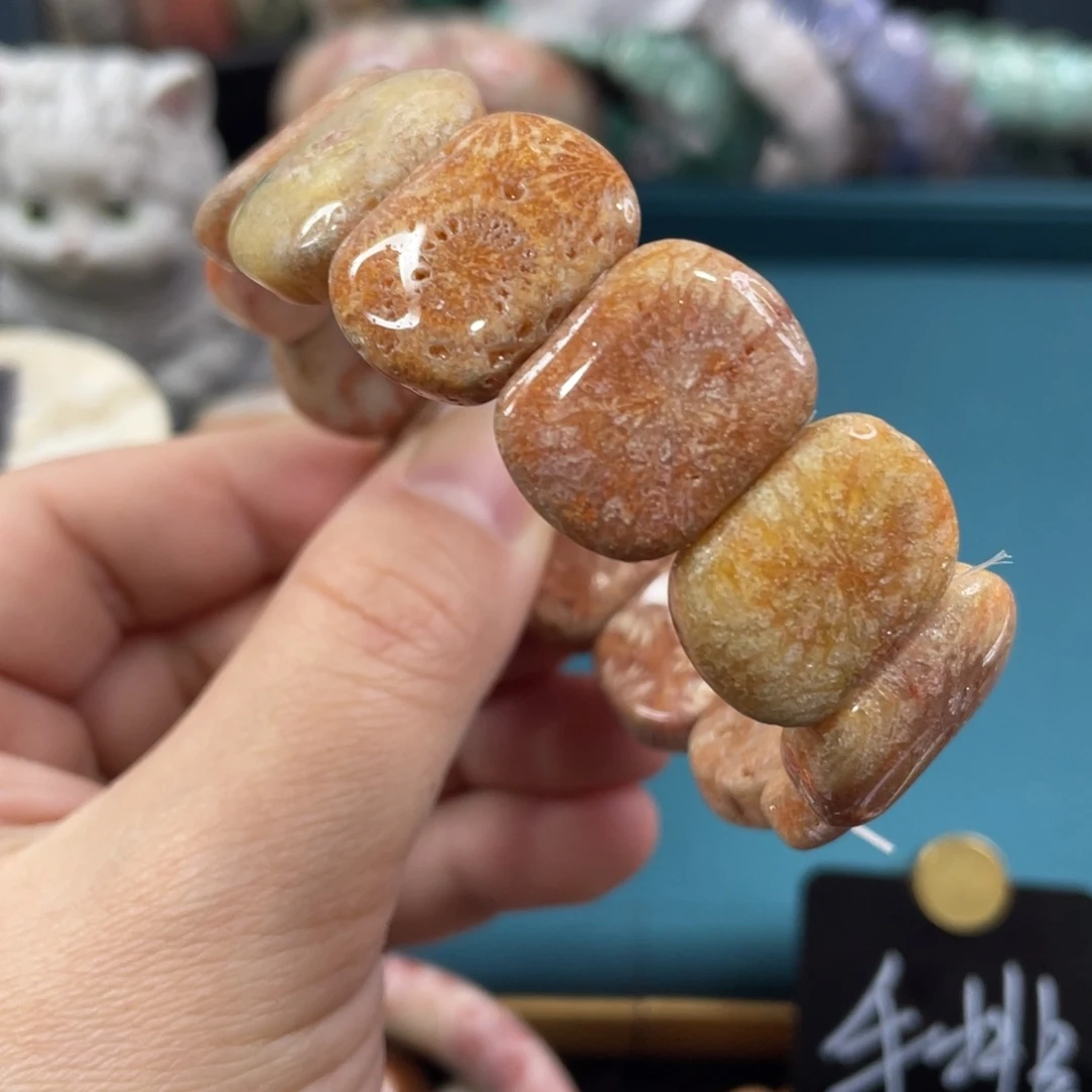 未镶嵌手镯硅化玉