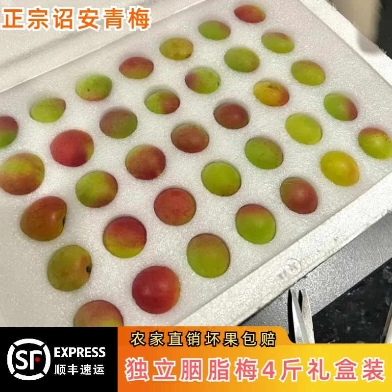 精品胭脂梅4斤青梅鲜果泡酒酵素酸熟梅子孕妇水果青梅独立装