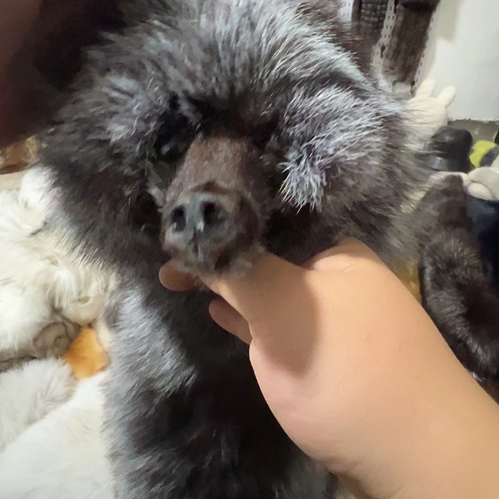 饺***生围脖围脖围巾围脖