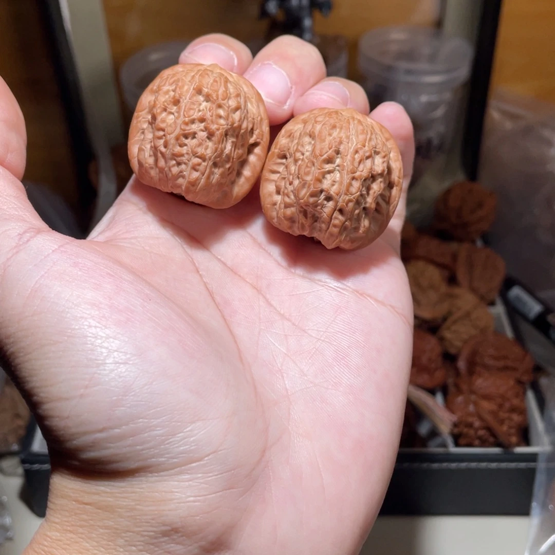 34尺寸全品无修极品手捻血麒麟